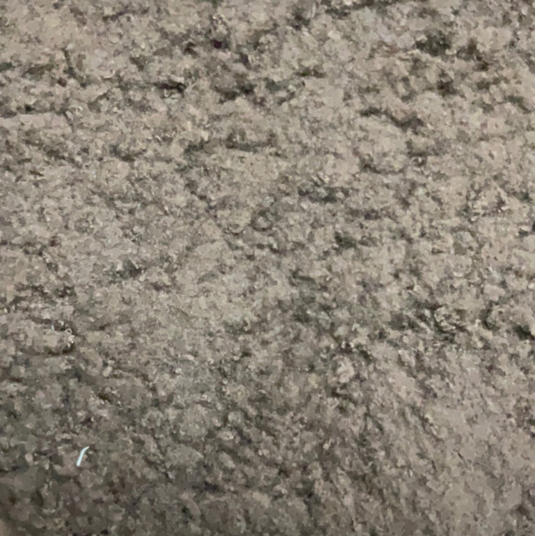 A2C54198-4D53-454B-81C2-A59BB16CA281